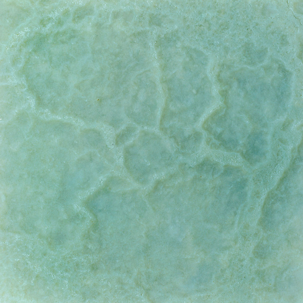 Celadon Soup, 2009