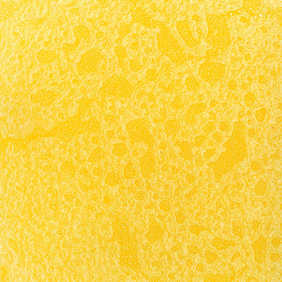 Textured Soup, 2008