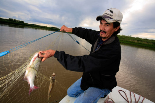 Orville Grandjambe pulls a damaged Whitefish out of his net on the river Quatrefouche, a tributary to Lake Athabasca, northern Alberta, 2009. In recent years, the frequency of deformities, lesions and cancers found in fish caught in Lake Athabasca has increased dramatically.