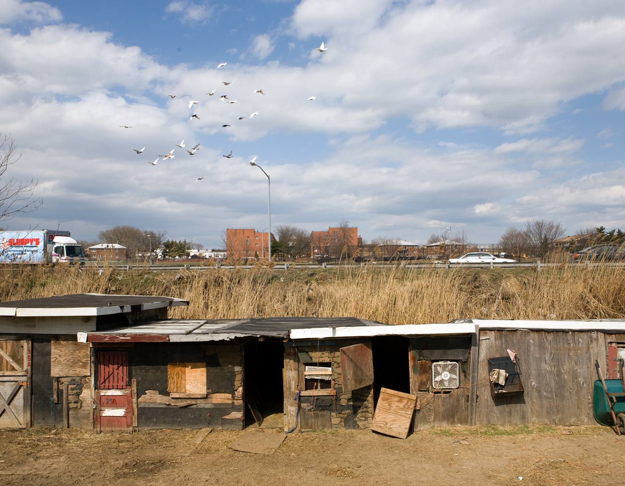 From the series: Dennis Kleiman: Federation of Black Cowboys