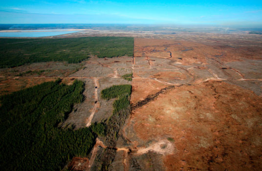 Aerial view of chopped down boreal forest near a tar sands mine north of Fort McMurray, Alberta, 2007