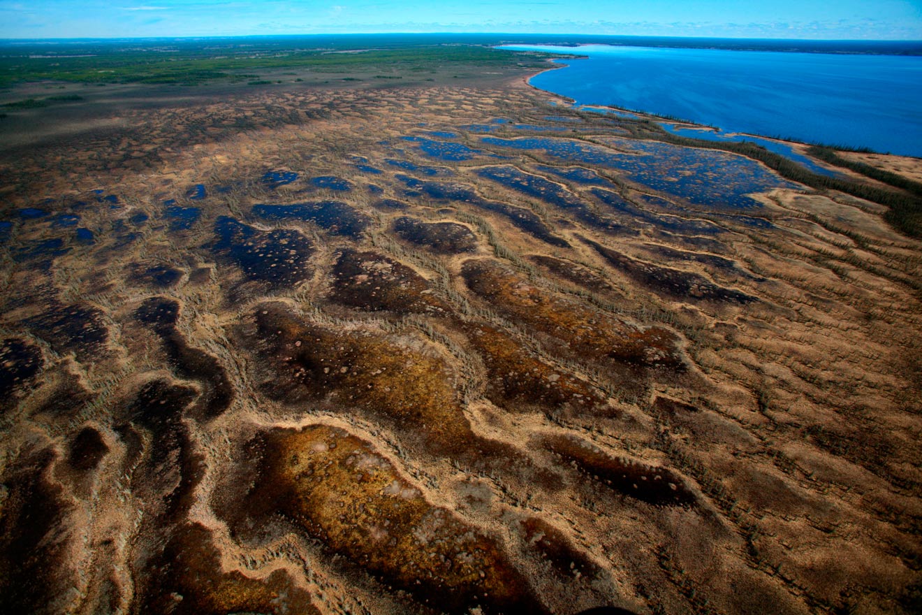 Aerial view of McClelland Lake fen north of Fort McMurray, Alberta, 2007