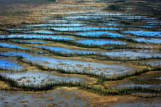 Aerial view of McClelland Lake fen north of Fort McMurray, Alberta, 2007