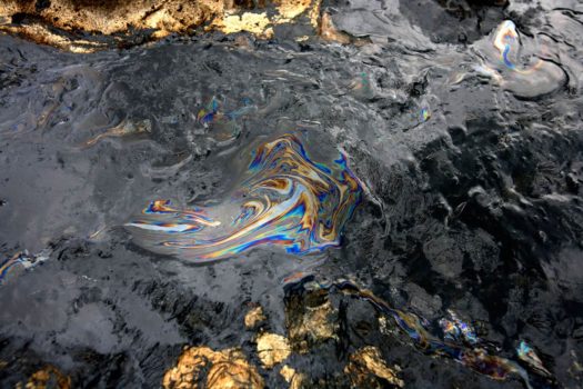 Close-up of bituminous sands at the Bitumount oil extraction site on the river Athabasca north of Fort McMurray, Alberta, 2009