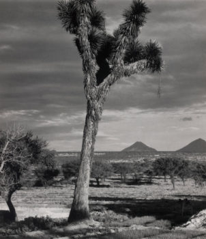 Saltillo Landscape, 1932