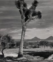 Paul Strand In Mexico ACurator Paul Strand In Mexico ACurator