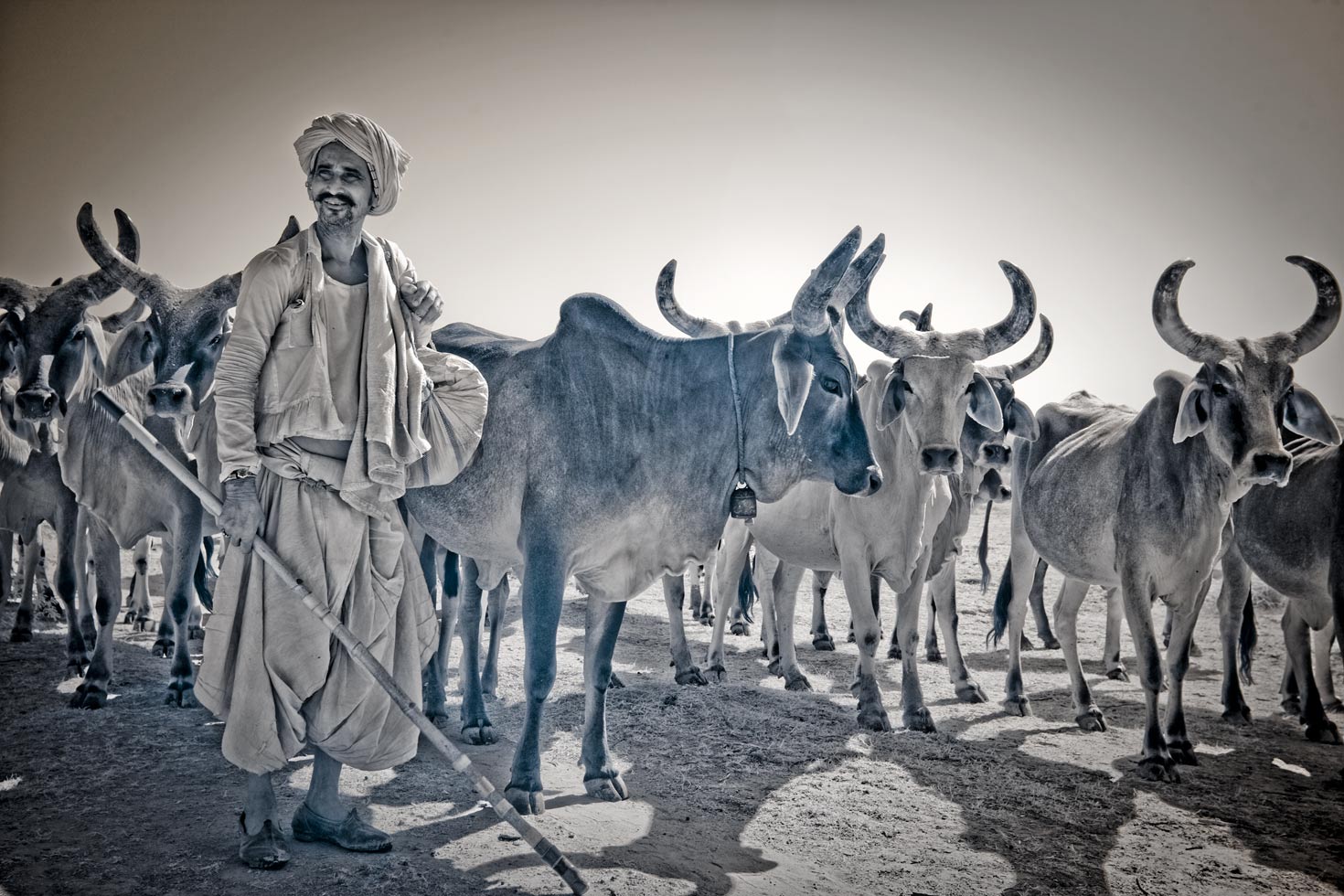 Gujarati Shepherd
Gujarat, India