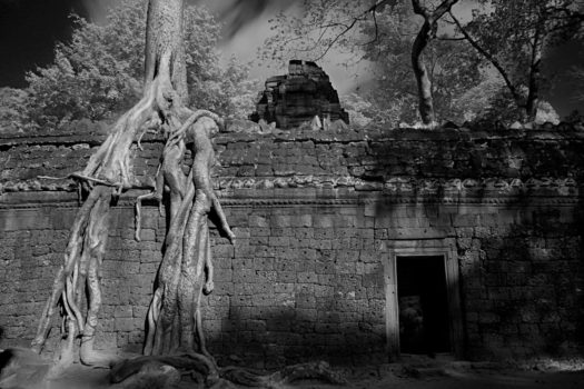 Unlike most Angkorian temples, Ta Prohm has been left in much the same condition in which it was found.