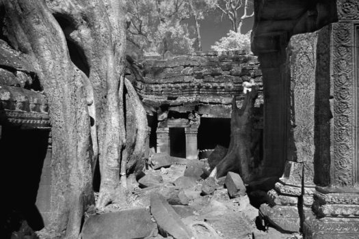 Ta Prohm