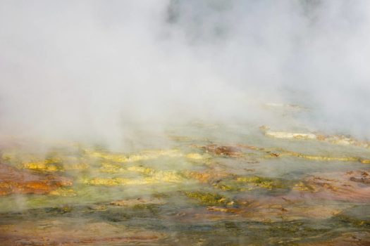 At Yellowstone National Park in Wyoming, hot springs spew forth acid, and bacteria thrive.