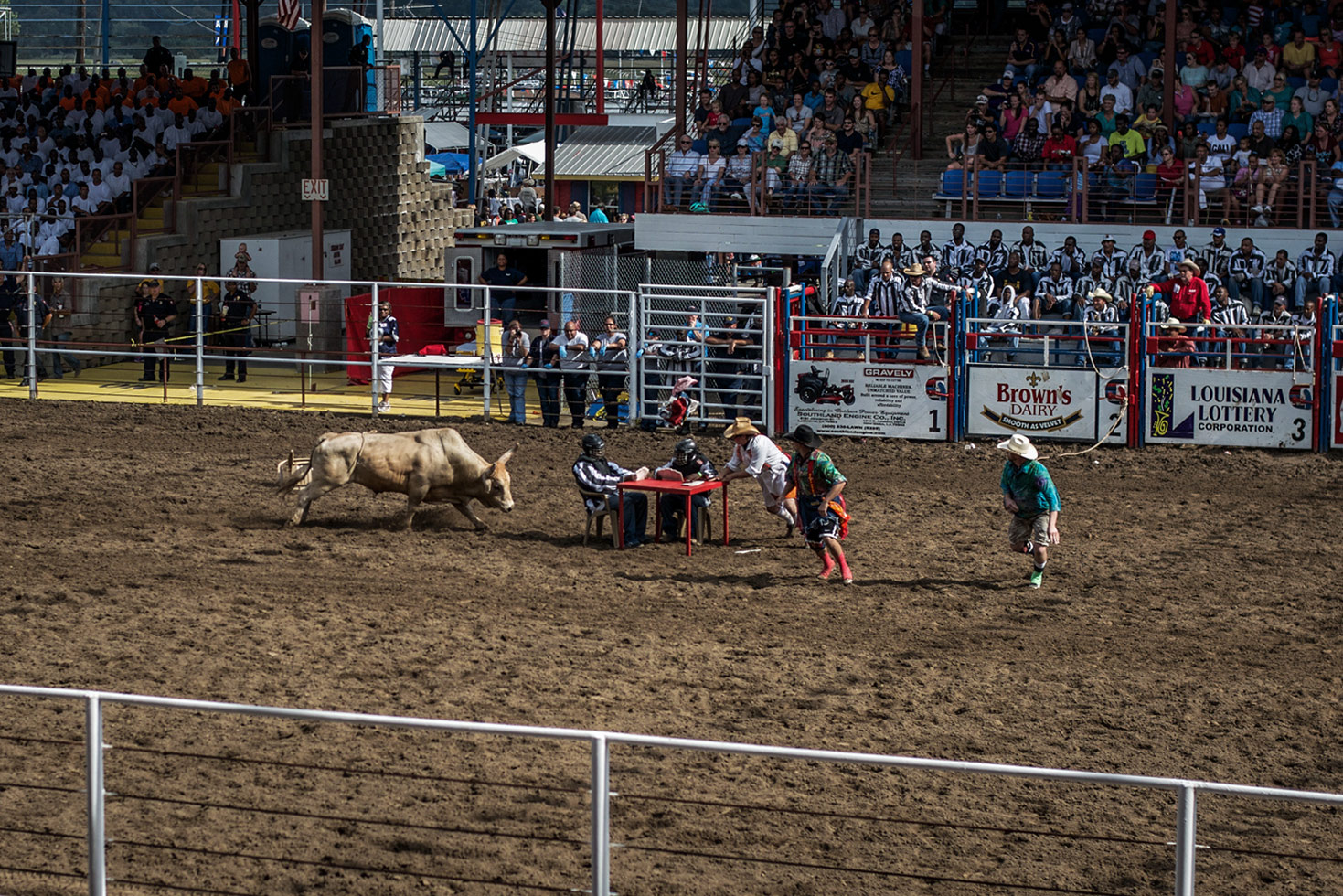 Events include wild horse racing (three-man teams attempt to grab ropes dragged by six wild horses long enough for a team member to mount), bull-dogging (wrestling an animal to the ground), wild cow milking (exactly what it sounds like), and bull riding (participants must sit on a one-ton Brahma bull for six seconds.)