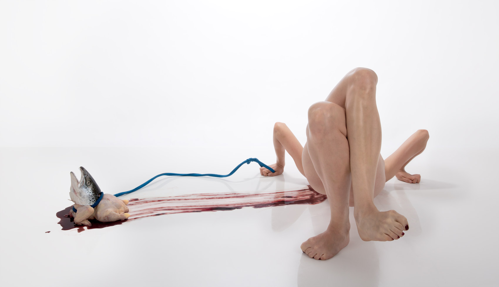 Masha Ermak constructs disconcerting new creatures in her digital photography thesis project.