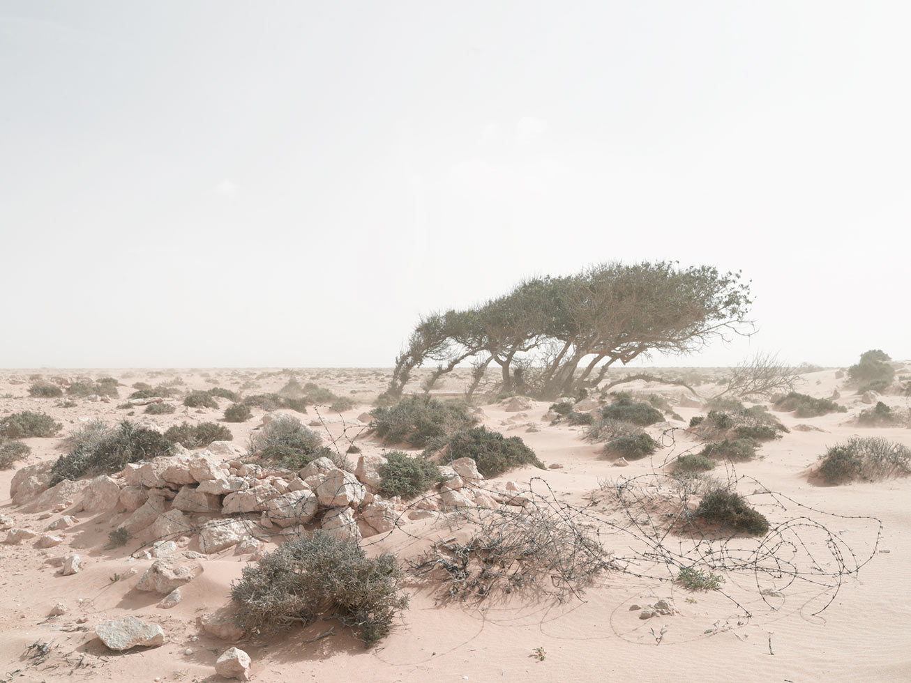 Defensive postion, in an encroaching sandstorm.
Alem Hamza Battlefield, Libya