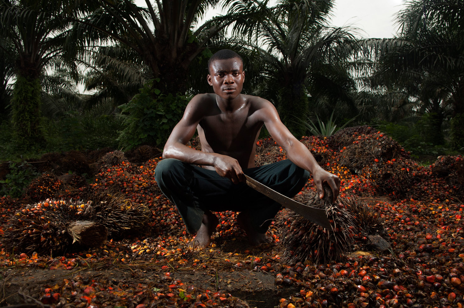 Calabar, Nigeria, 2011
"Henshaw is 20 years old and utilizes a machete to cut the bunches of fruit from oil palms. The palm oil industry is having a devastating impact on the environment, but with few options, local workers see the opportunity as a source of employment."