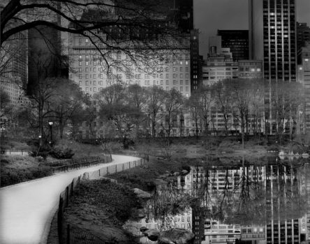 Deep In A Dream.
Central Park, New York, 2010

Michael roamed the park in the early morning hours for a precise period in the days of March just before the trees fully sprouted their leaves.