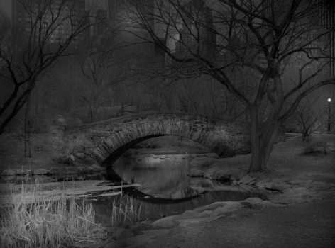 Deep In A Dream.
Central Park, New York, 2011