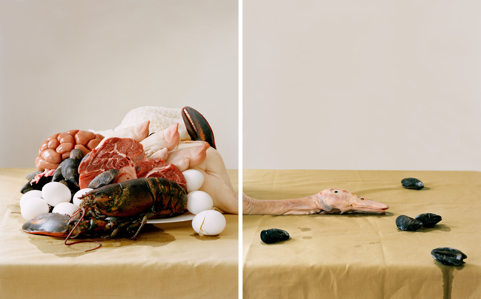 Untitled No. 3 (from the series 'Lessons of Impermanence'), 2009