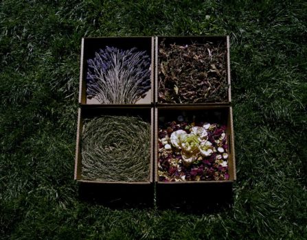 Lavender, Clippings, Roses and Grass Circle, 2008