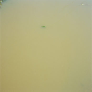Water
Surface 27
2005