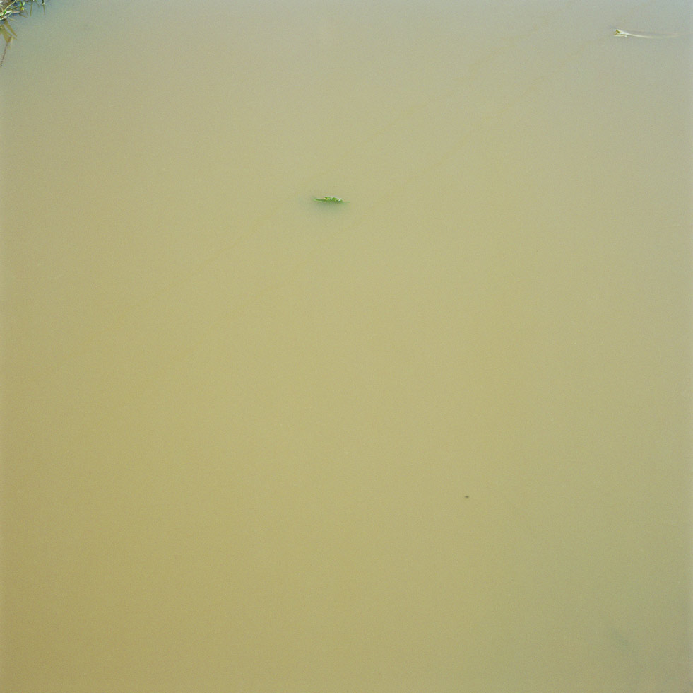 Water
Surface 27
2005