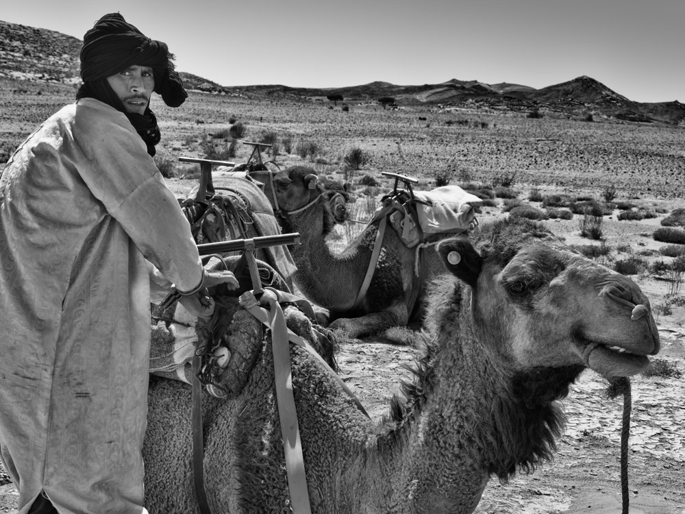 Camel Wrangler, Draa Tafilalet, Morocco