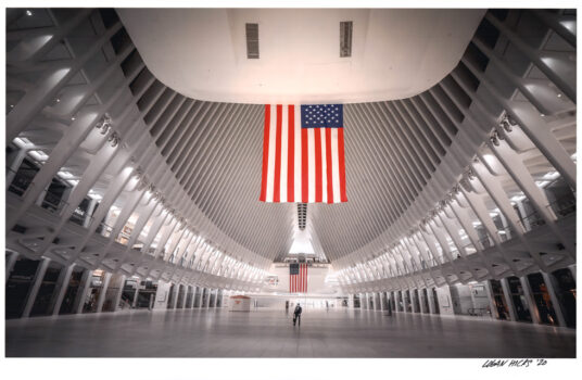 The Oculus, NY, by Logan Hicks. 11"x14" archival digital print, signed. $200 donation
@loganhicksny