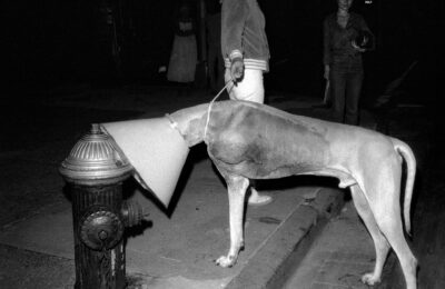 Meryl Meisler: Street Walker © Meryl Meisler