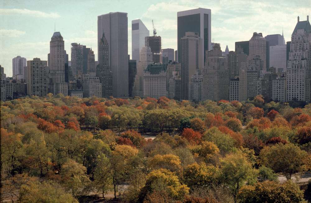 SOLD Ruth Orkin: Central Park, 1980. 11x14", stamped. @ruthorkinphoto