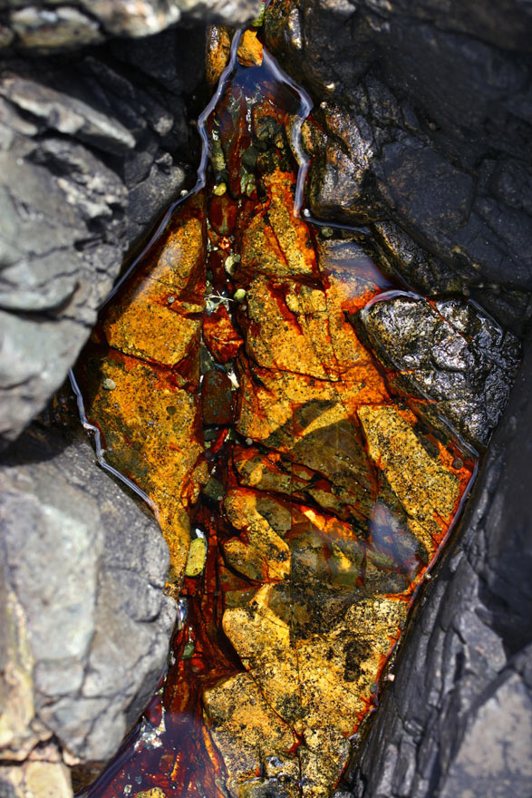 These tide pools are within Acadia National Park on the Atlantic coast in Maine.