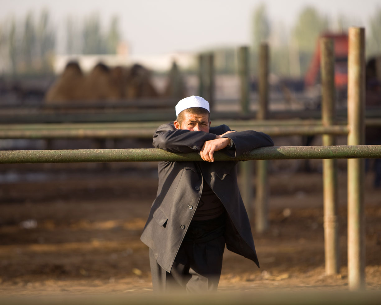 Kashgar's animal market
