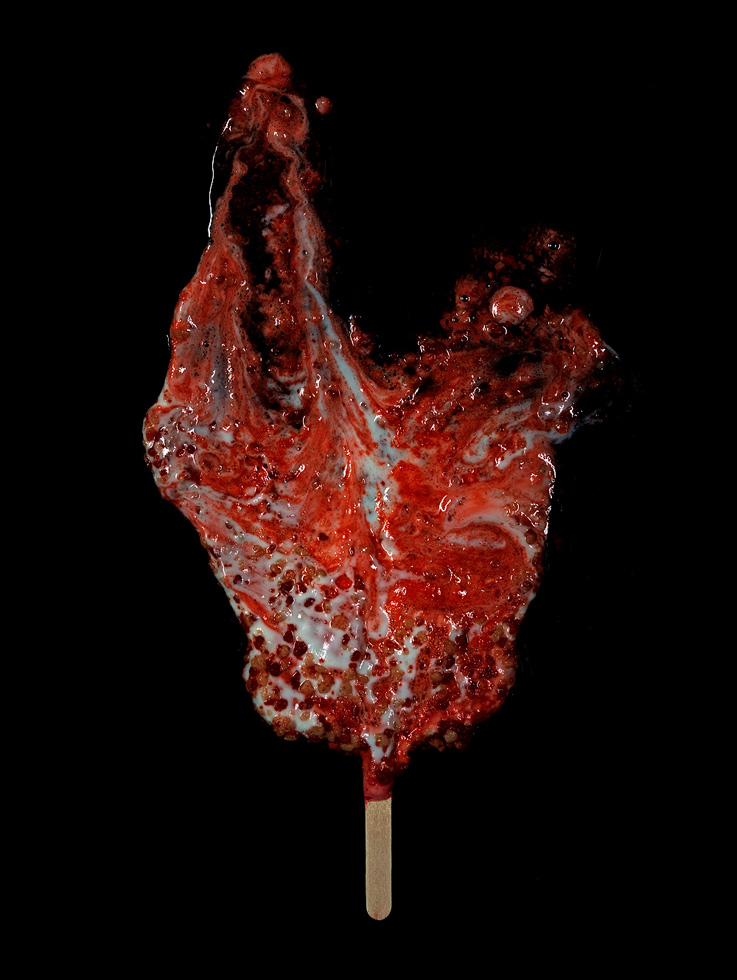 From the series: Michael Massaia: Transmogrify & The Passing Of Things