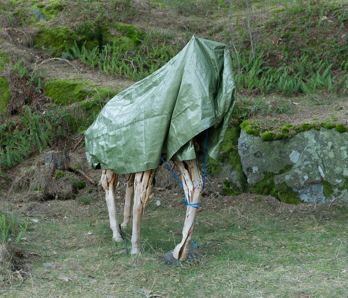 From the series: Anette Asbjørnrød: Off Season