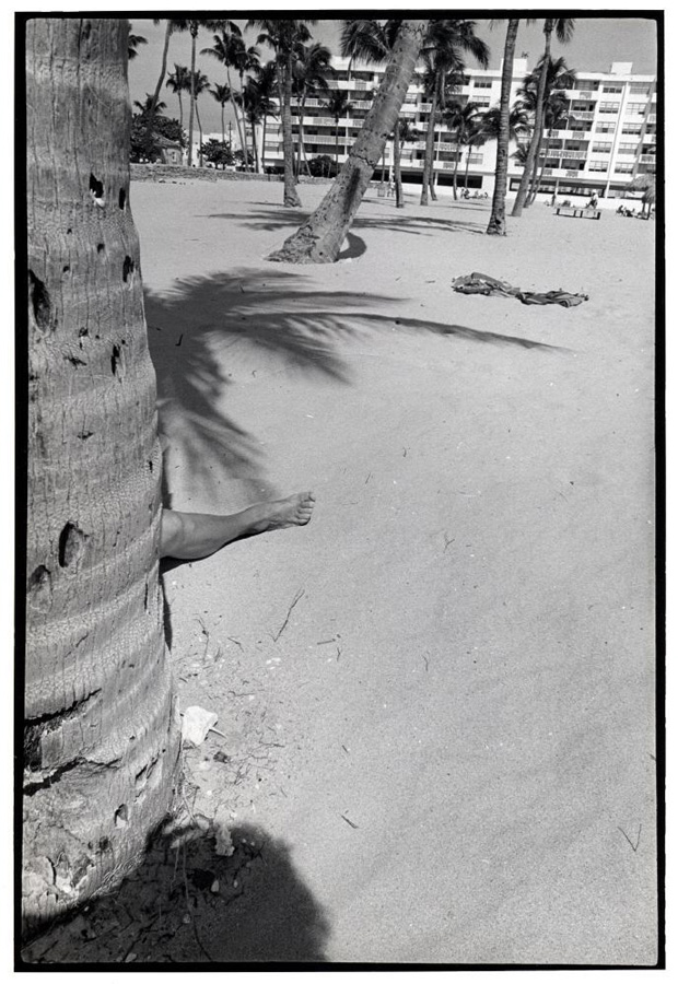 From the series: GODLIS: Miami Beach