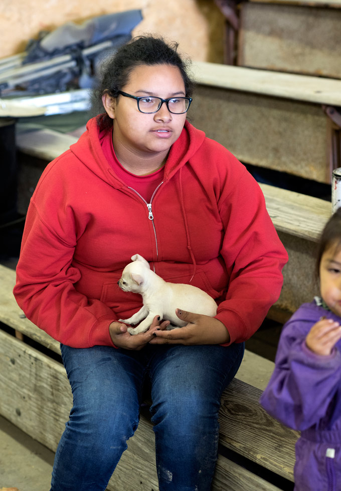 From the series: Gudrun Georges: Pine Ridge