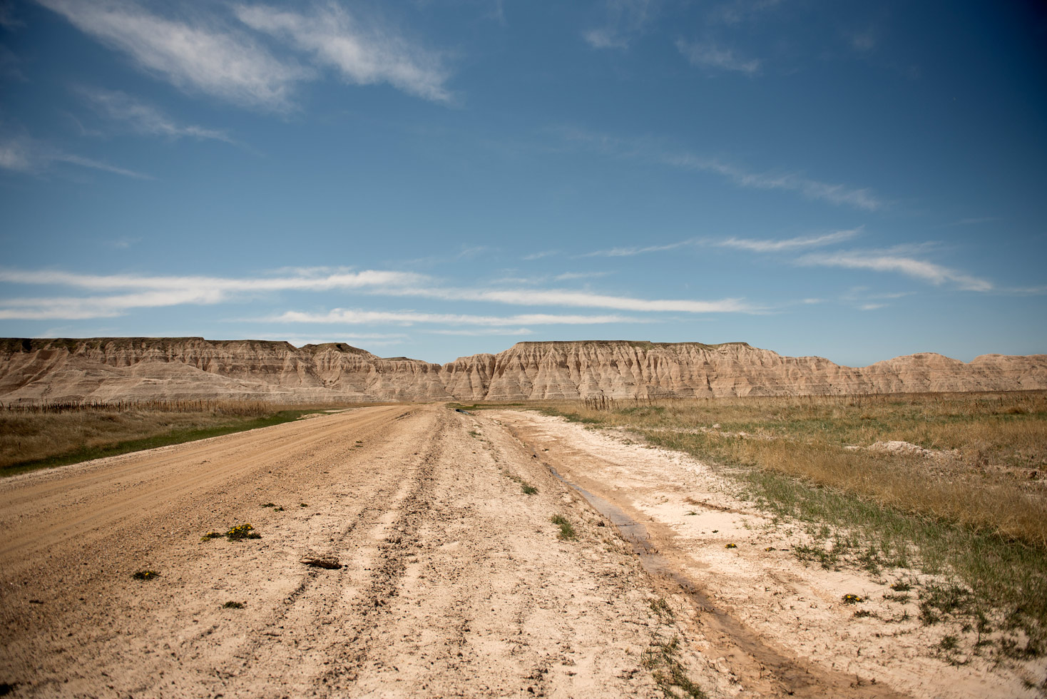 From the series: Gudrun Georges: Pine Ridge