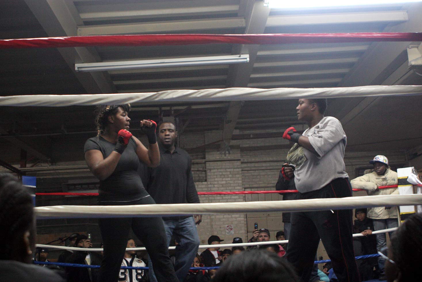A car horn is blown to start the fight.