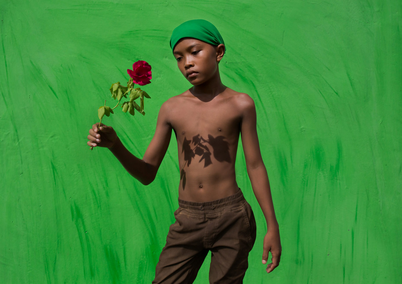 From the series: Jonah Meyers: Wallflowers