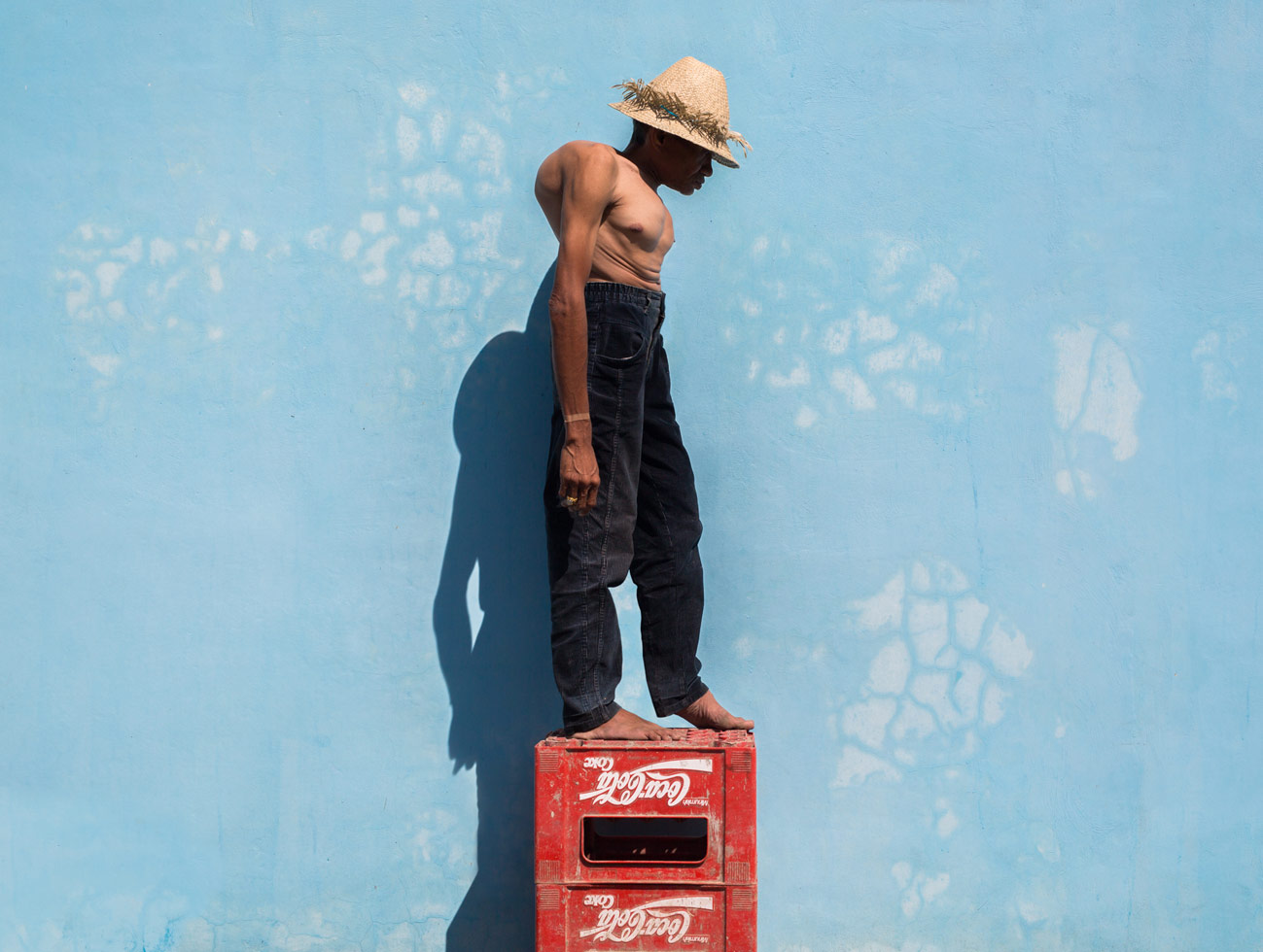 From the series: Jonah Meyers: Wallflowers