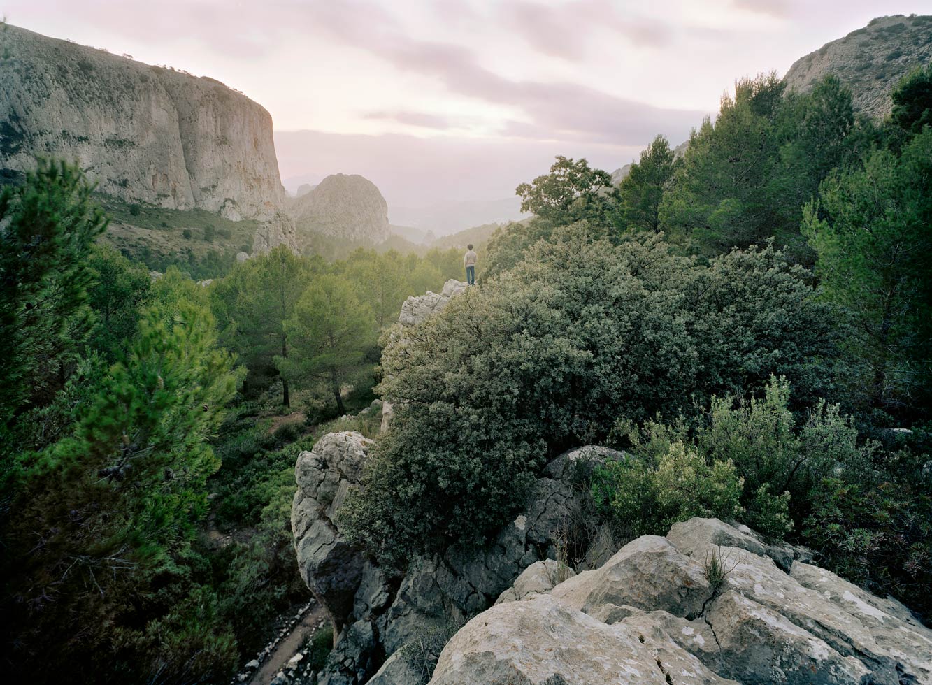 Contemplation Guhyaloka, 2004