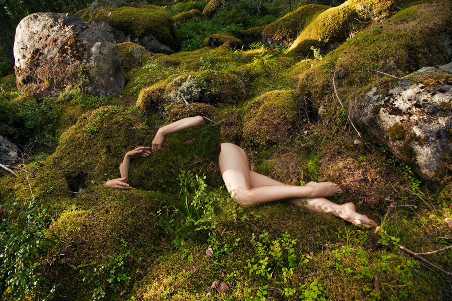From the series: Loreal Pristaj: Reflecting on Nature
