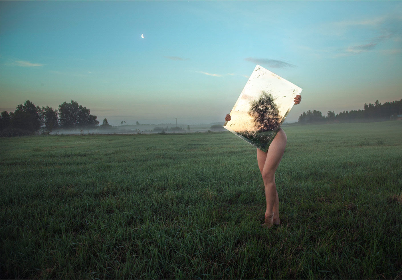 From the series: Loreal Pristaj: Reflecting on Nature