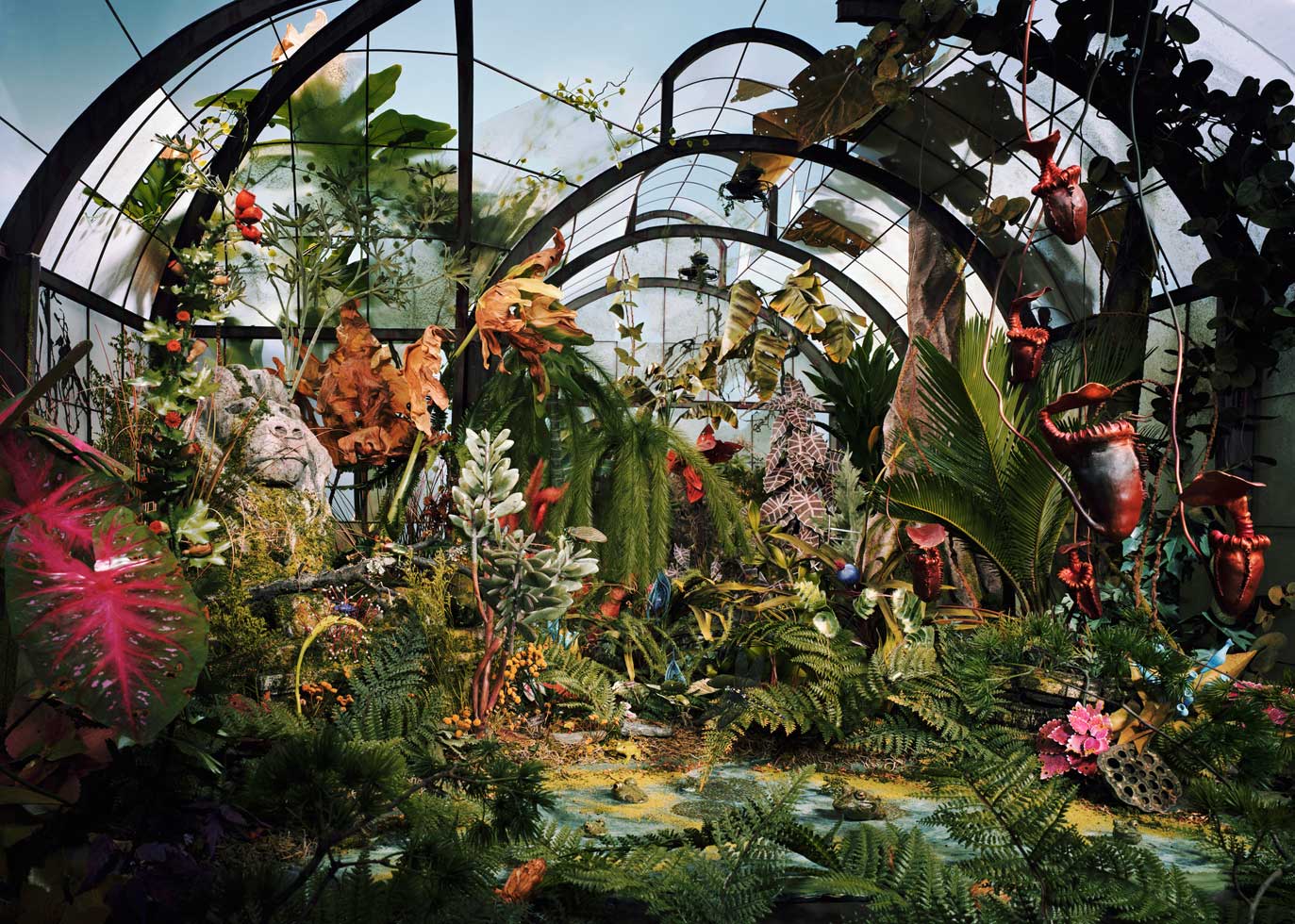Botanical Garden, 2008
