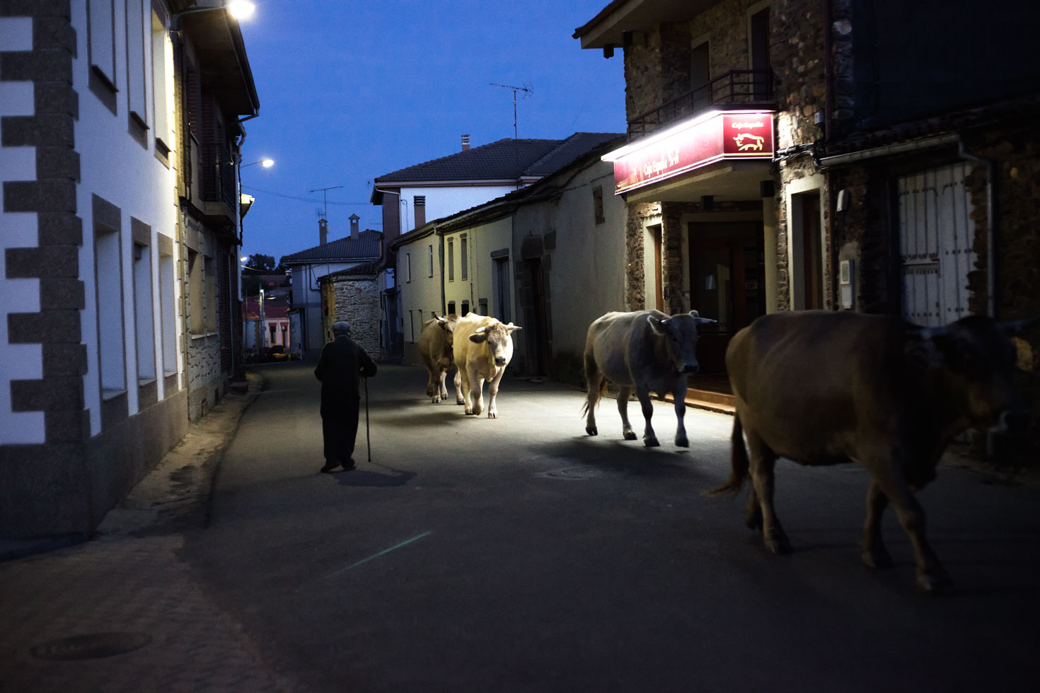 Portrait of a Spanish village in 2010.
 
Rabanales de Aliste, Zamora, Castilla Leon. Population: approx 1,000