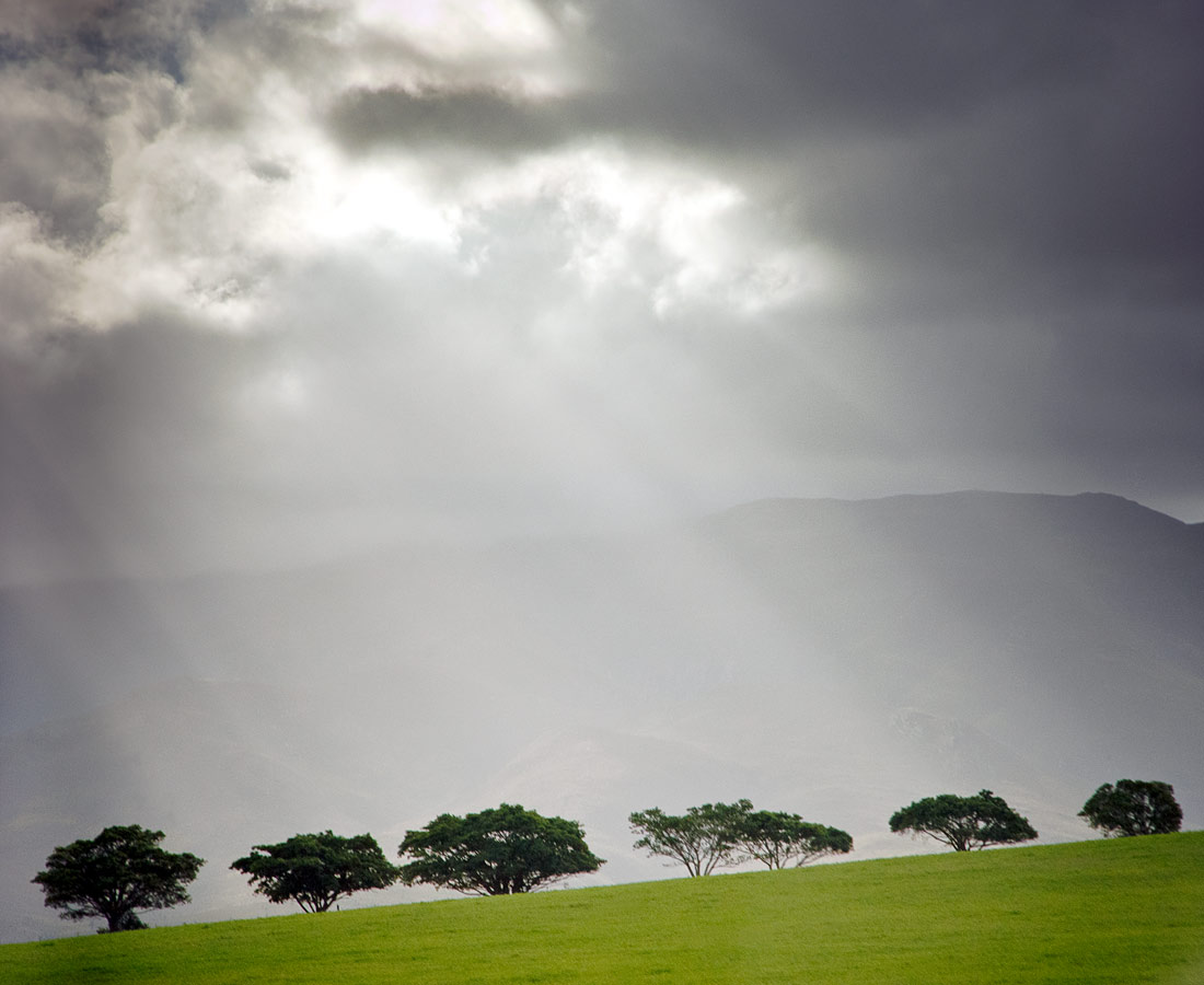 Near Swellendam, Western Cape