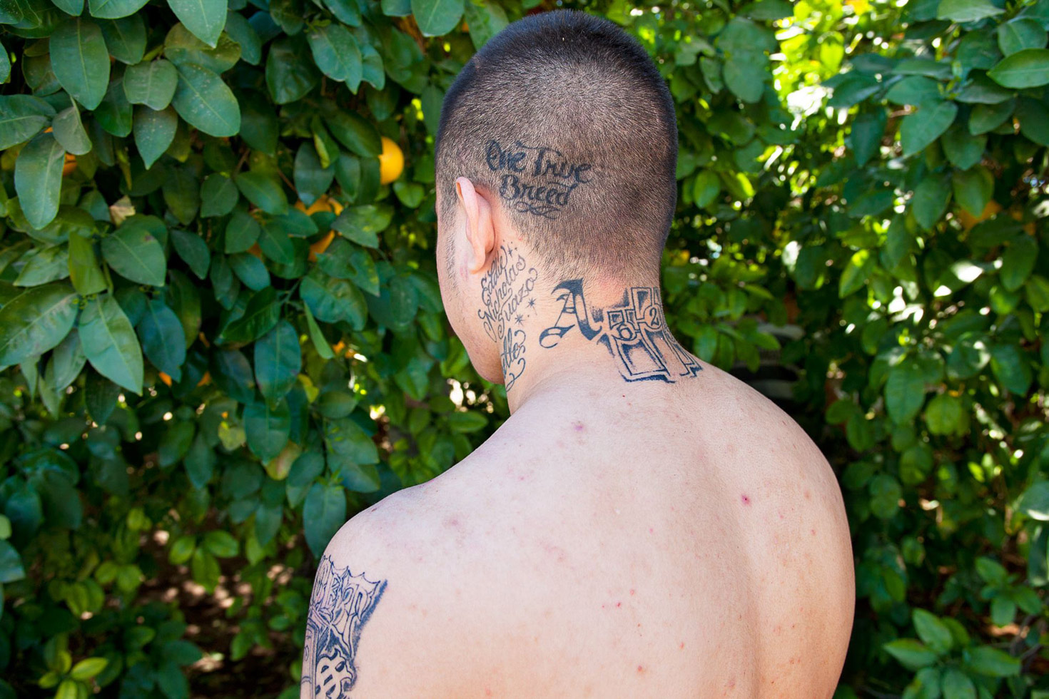 From the series: Scott Houston: Incarceration Inc.
