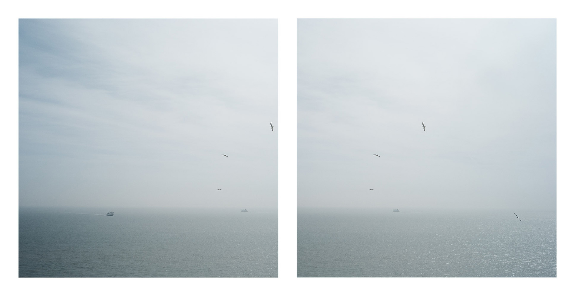 From the series: Brian David Stevens: Brighter Later