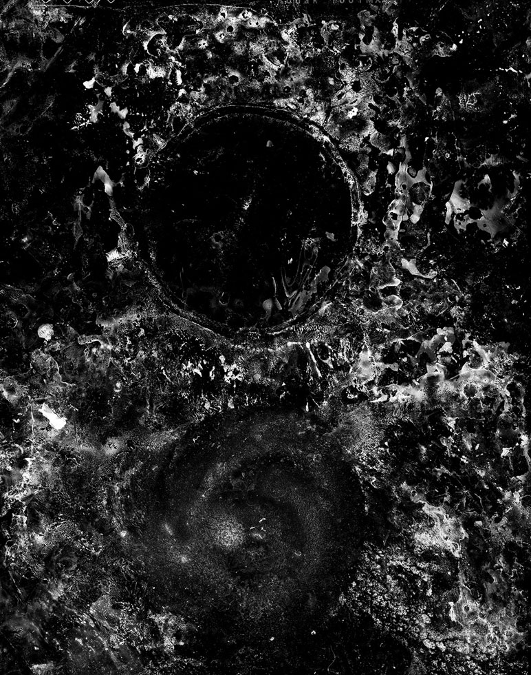 From the series: Claire A. Warden: Mimesis