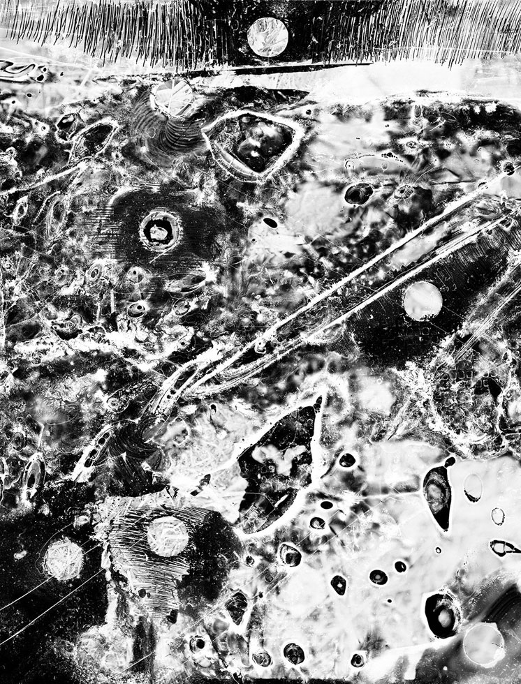 From the series: Claire A. Warden: Mimesis