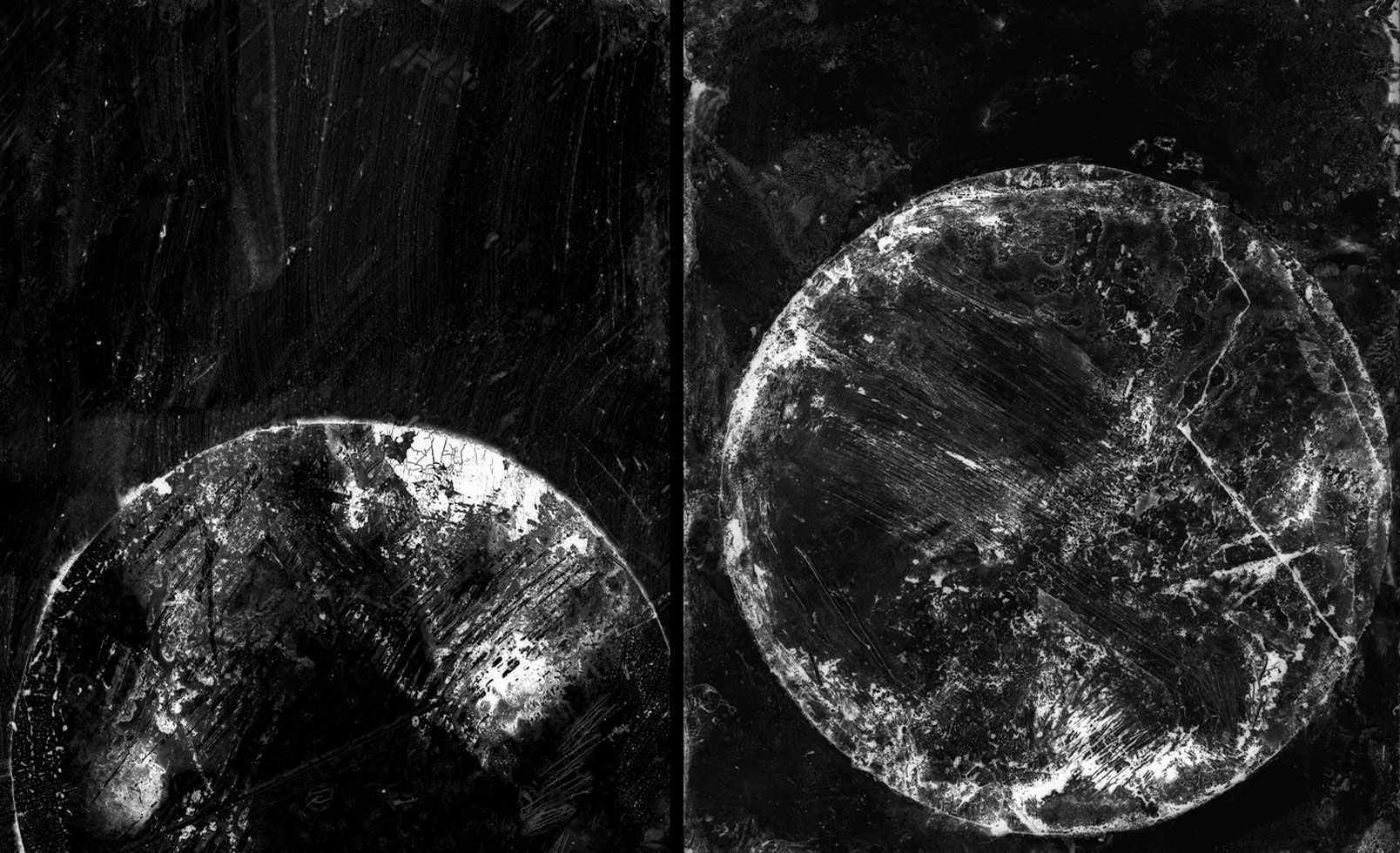 From the series: Claire A. Warden: Mimesis