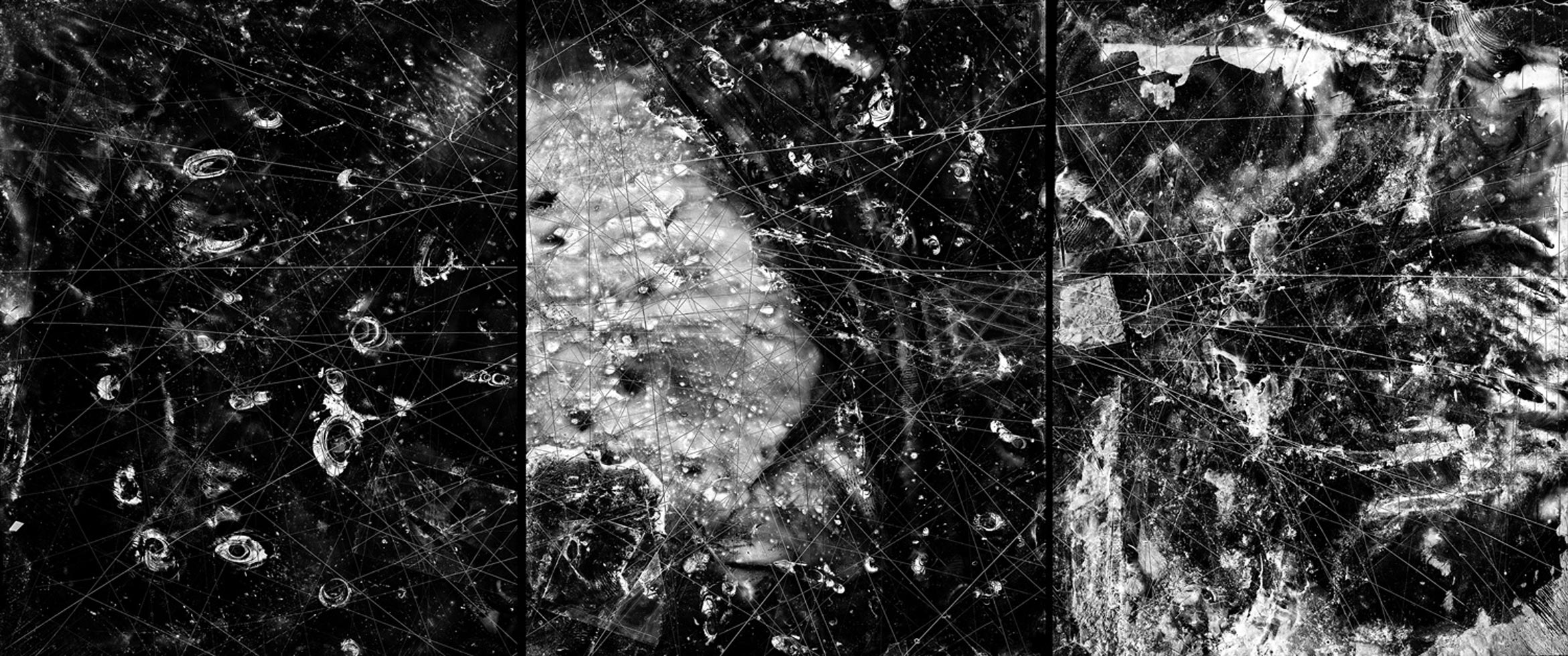 From the series: Claire A. Warden: Mimesis
